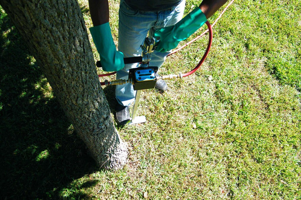 Deep Root Injection copy-Port St. Lucie’s Best Tree Trimming and Tree Removal Services-We Offer Tree Trimming Services, Tree Removal, Tree Pruning, Tree Cutting, Residential and Commercial Tree Trimming Services, Storm Damage, Emergency Tree Removal, Land Clearing, Tree Companies, Tree Care Service, Stump Grinding, and we're the Best Tree Trimming Company Near You Guaranteed!
