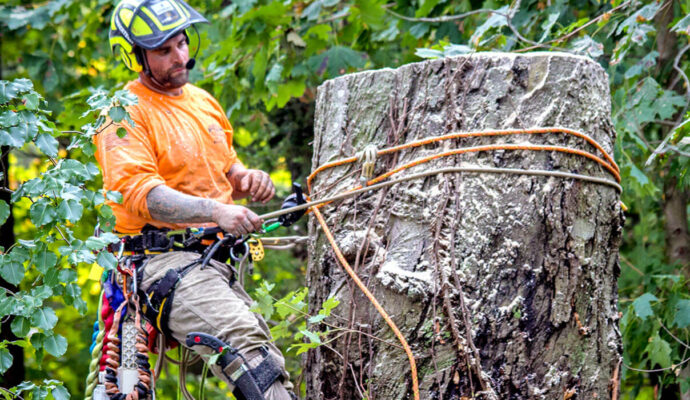 Port St. Lucie’s Best Tree Trimming and Tree Removal Services-We Offer Tree Trimming Services, Tree Removal, Tree Pruning, Tree Cutting, Residential and Commercial Tree Trimming Services, Storm Damage, Emergency Tree Removal, Land Clearing, Tree Companies, Tree Care Service, Stump Grinding, and we're the Best Tree Trimming Company Near You Guaranteed!