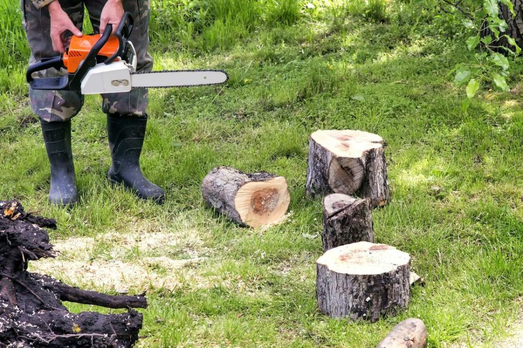Stuart-Port St. Lucie’s Best Tree Trimming and Tree Removal Services-We Offer Tree Trimming Services, Tree Removal, Tree Pruning, Tree Cutting, Residential and Commercial Tree Trimming Services, Storm Damage, Emergency Tree Removal, Land Clearing, Tree Companies, Tree Care Service, Stump Grinding, and we're the Best Tree Trimming Company Near You Guaranteed!