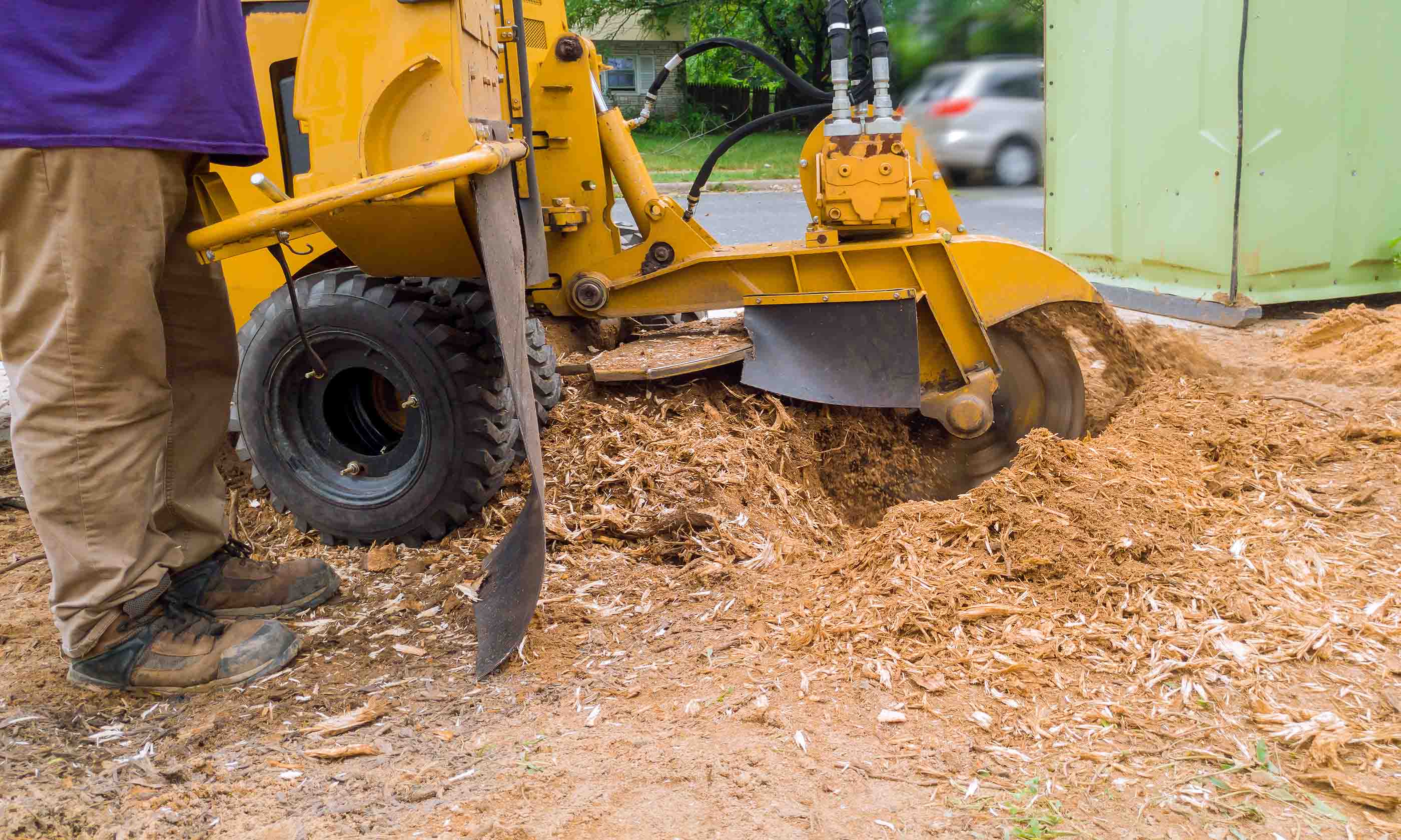 Stump Grinding-Port St. Lucie’s Best Tree Trimming and Tree Removal Services-We Offer Tree Trimming Services, Tree Removal, Tree Pruning, Tree Cutting, Residential and Commercial Tree Trimming Services, Storm Damage, Emergency Tree Removal, Land Clearing, Tree Companies, Tree Care Service, Stump Grinding, and we're the Best Tree Trimming Company Near You Guaranteed!