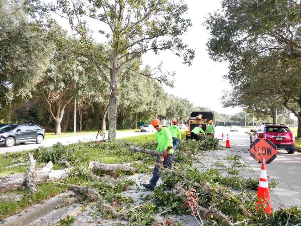 Commercial Tree Services Affordable-Pro Tree Trimming & Removal Team of Port St. Lucie