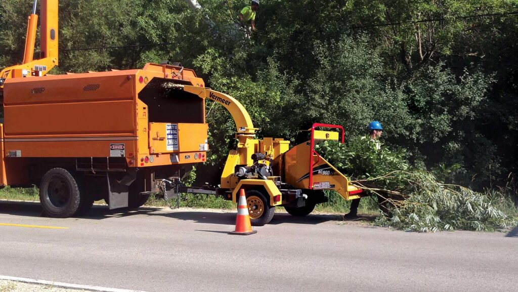 Commercial Tree Services Near Me-Pro Tree Trimming & Removal Team of Port St Lucie