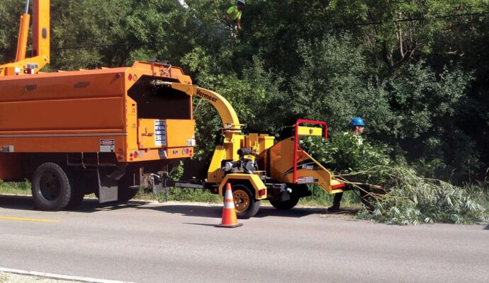 Commercial Tree Services Near Me-Pro Tree Trimming & Removal Team of Port St Lucie