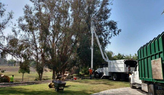 Commercial Tree Services Port St. Lucie-Pro Tree Trimming & Removal Team of Port St Lucie