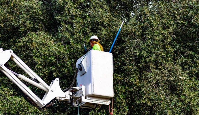 Commercial-Tree-Services-Services Pro-Tree-Trimming-Removal-Team-of-Port St Lucie