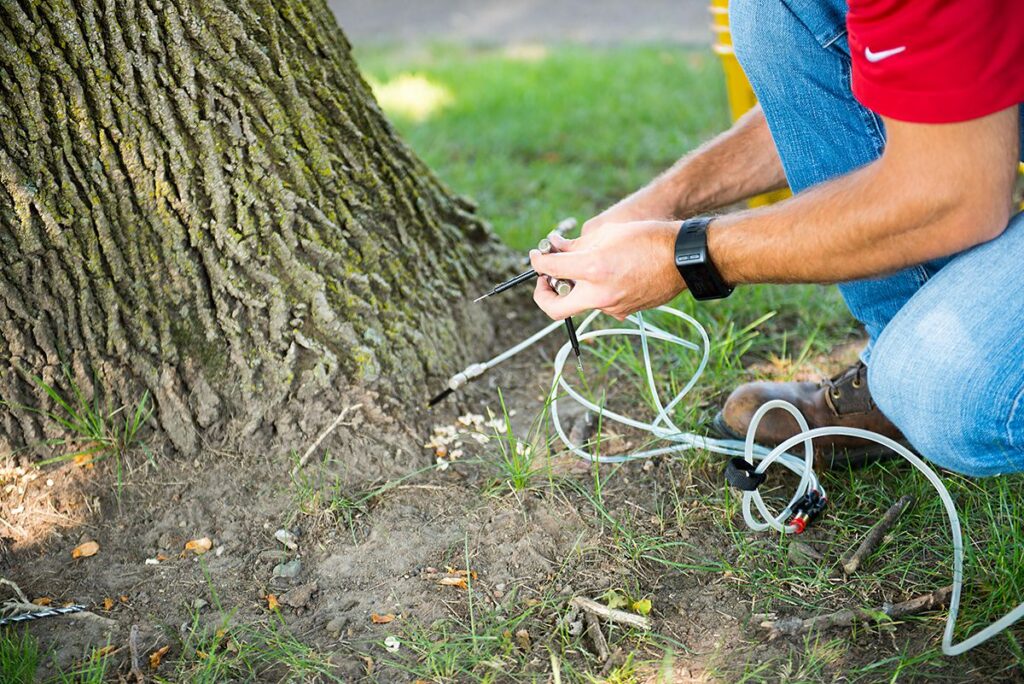 Deep Root Injection Near Me-Pro Tree Trimming & Removal Team of Port St Lucie