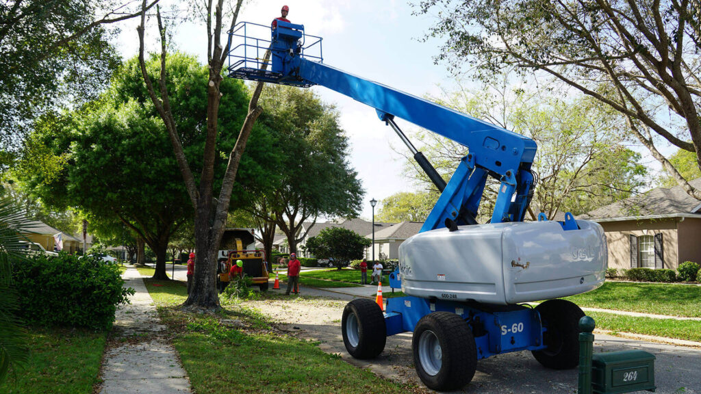 Port St Lucie Residential Tree Services-Pro Tree Trimming & Removal Team of Port St Lucie