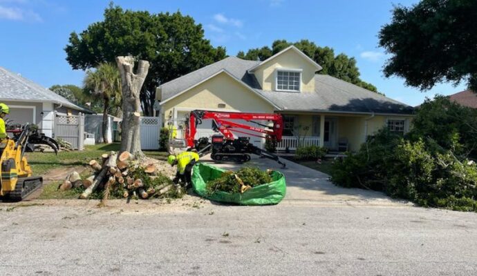 Residential Tree Services Port St. Lucie-Pro Tree Trimming & Removal Team of Port St Lucie