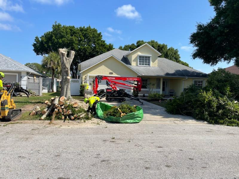 Residential Tree Services Port St. Lucie-Pro Tree Trimming & Removal Team of Port St Lucie
