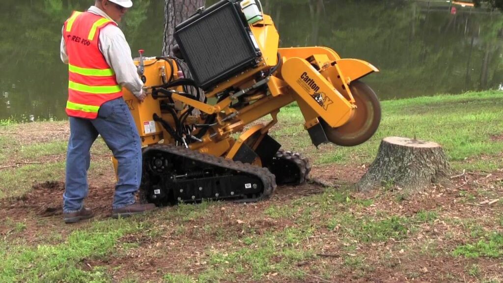 Stump Grinding & Removal Port St. Lucie-Pro Tree Trimming & Removal Team of Port St Lucie
