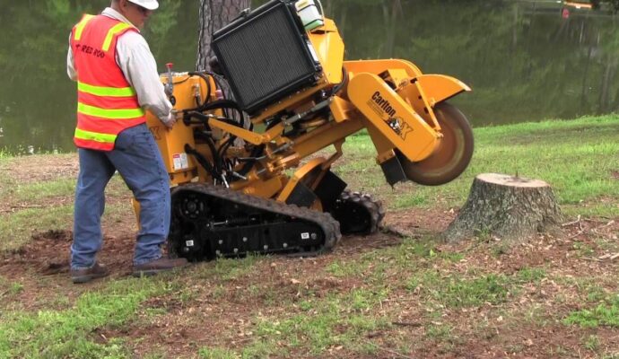 Stump Grinding & Removal Port St. Lucie-Pro Tree Trimming & Removal Team of Port St Lucie