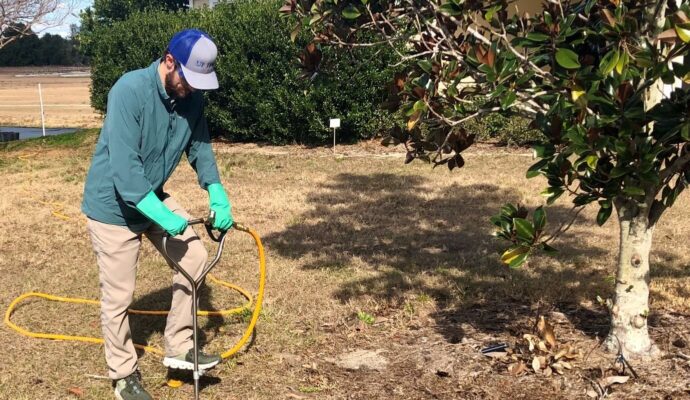 Deep Root Injection Experts-Pro Tree Trimming & Removal Team of Port St Lucie