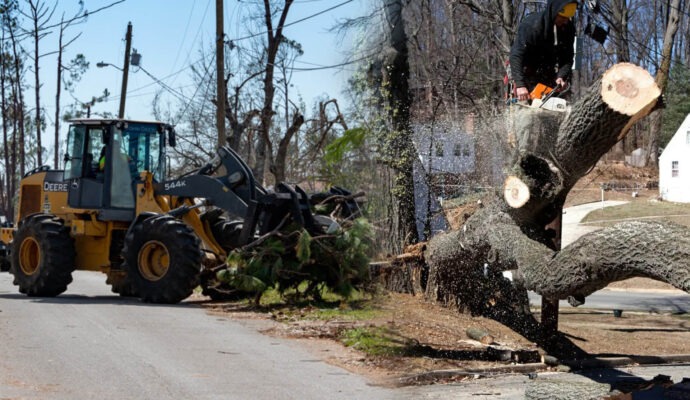 Emergency Tree Removal Experts-Pro Tree Trimming & Removal Team of Port St Lucie