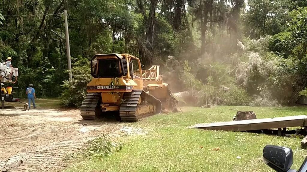 Land Clearing Experts-Pro Tree Trimming & Removal Team of Port St Lucie