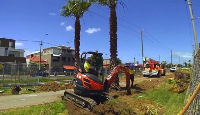 Palm Tree Removal-Pros-Pro Tree Trimming & Removal Team of Port St Lucie