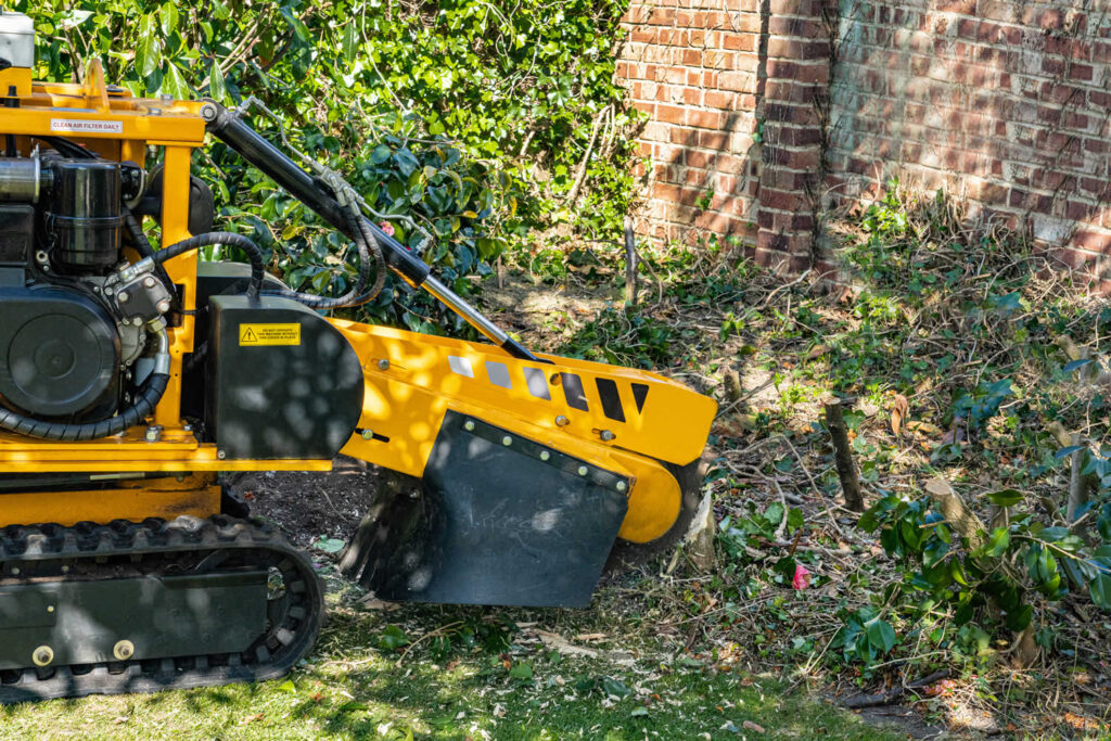 Stump Grinding-Pros-Pro Tree Trimming & Removal Team of Port St Lucie
