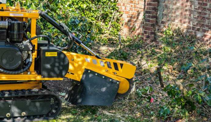 Stump Grinding-Pros-Pro Tree Trimming & Removal Team of Port St Lucie
