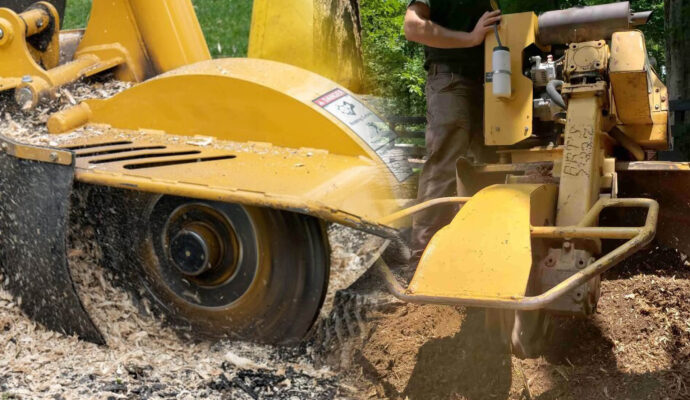 Stump Grinding & Removal Experts-Pro Tree Trimming & Removal Team of Port St Lucie